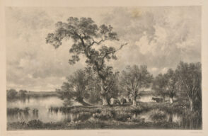 Cattle Grazing by a River