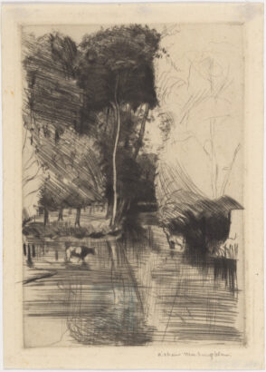 Cow Drinking by a Stream