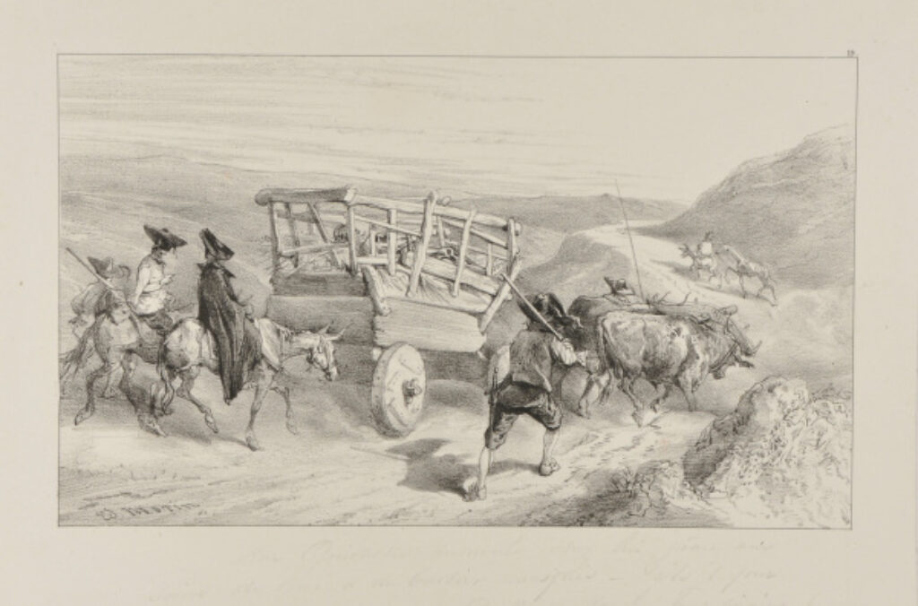 Don Quixote, ill. #19