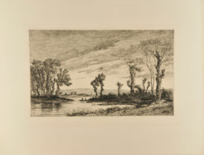 Etang de Fayelles (Bretagne)