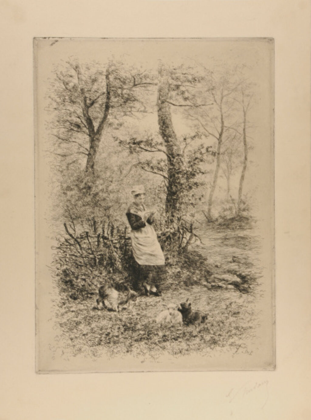 Passablement, pas du tout