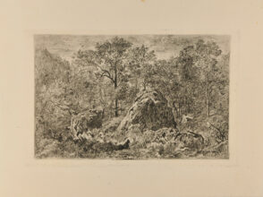 Landscape: Large Rock