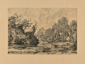 Landscape: Animals near a River