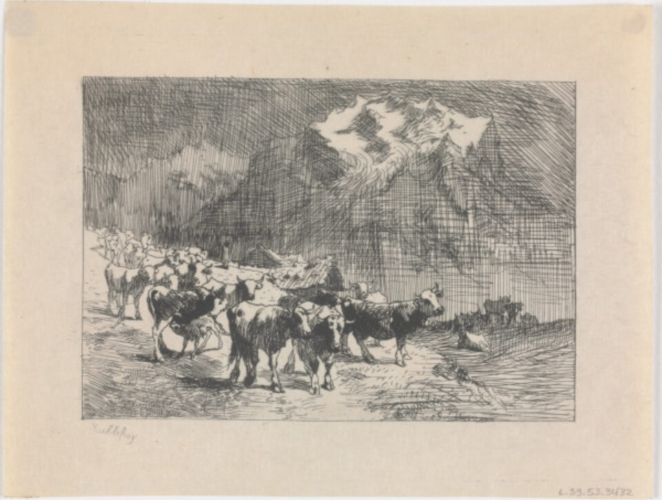 Félix Dominique de Vuillefroy