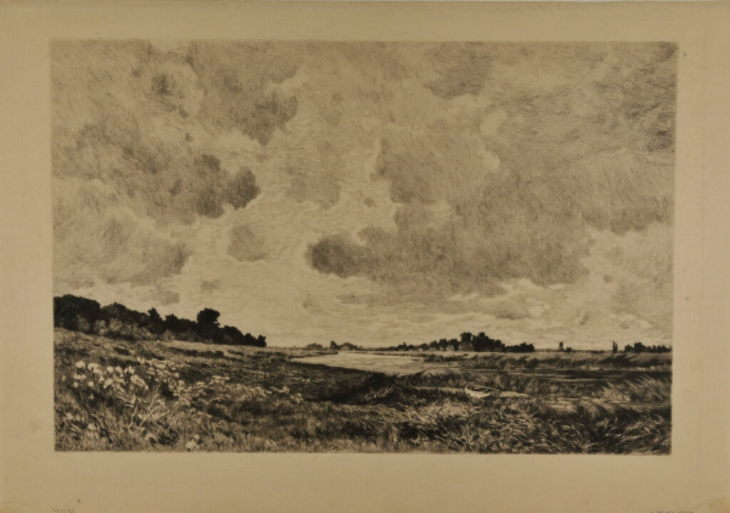 Marshy Landscape with Cloudy Sky