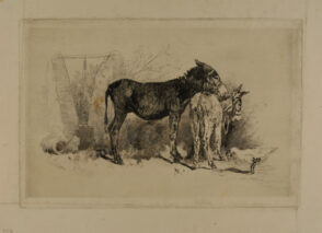 Two Donkeys
