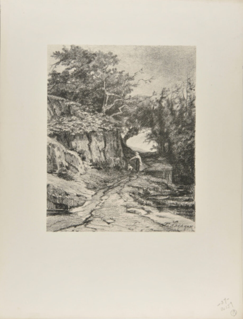 Woman with a dog, walking along a path