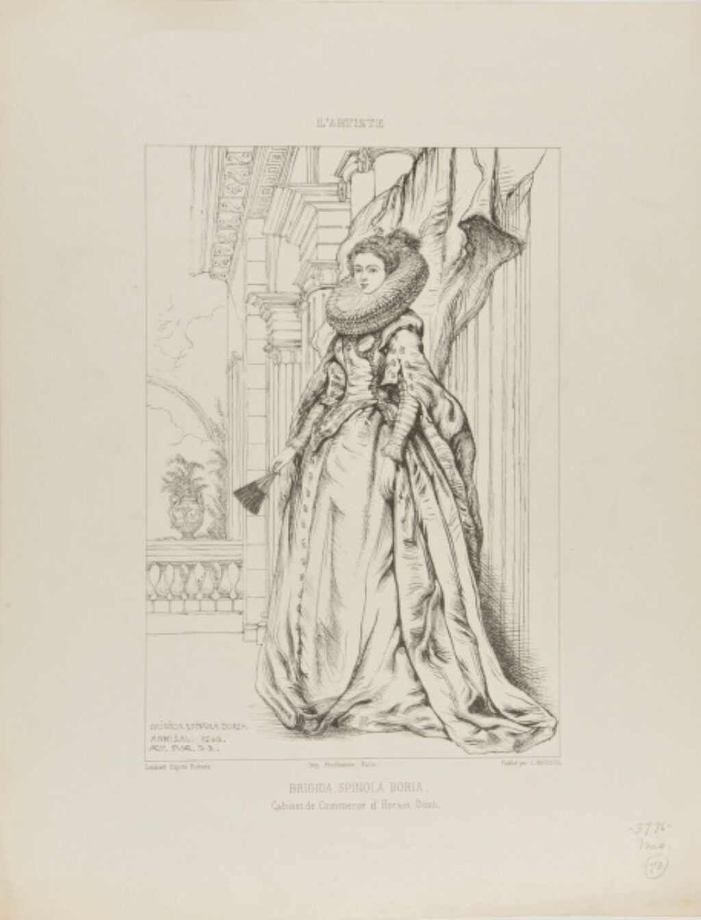 Brigida, Spinola Doria