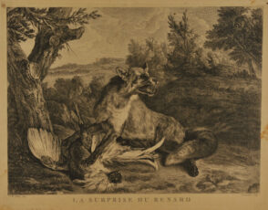 La Surprise du Renard