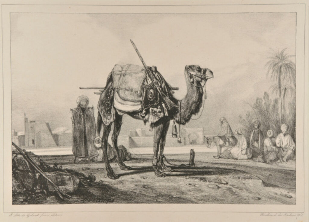 Halte d’une caravane