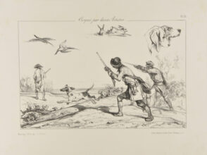 Sketches of bird hunting, rabbits, and dogs
