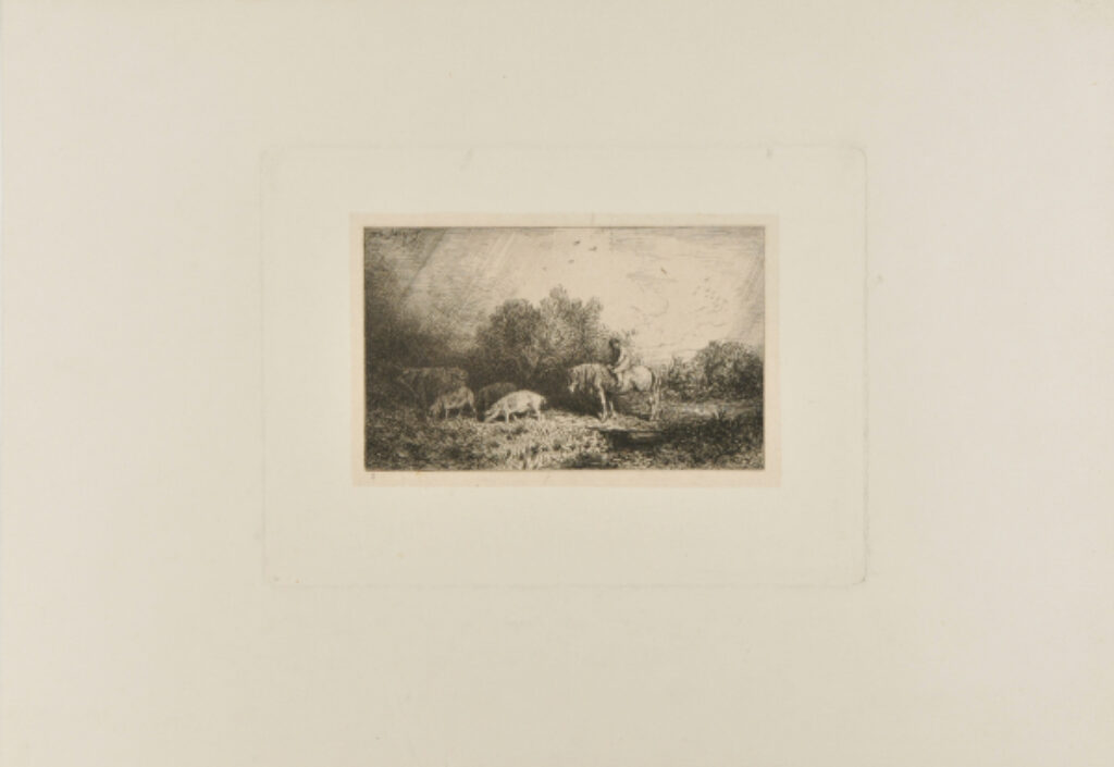 Landscape and Animals