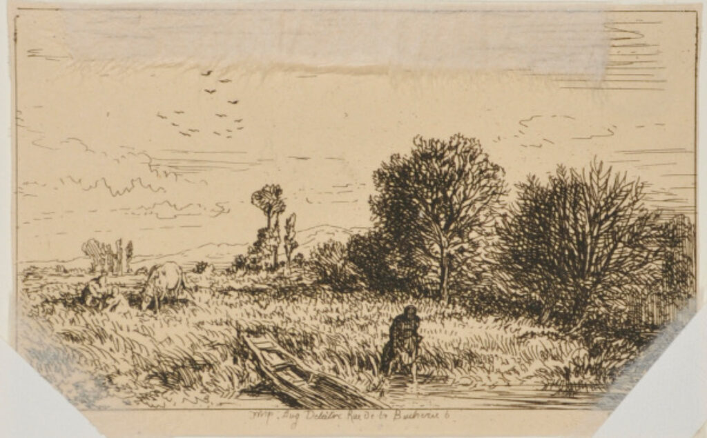 Saules: Paysage