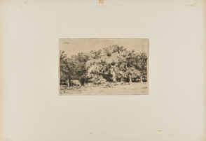 Un Coin de la Forêt de Fontainebleau