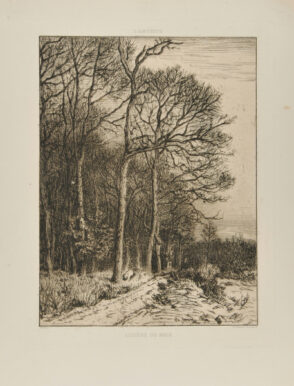 Paysage: Hiver – Lisière de forêt