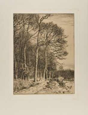 Landscape: Winter – Edge of the Forest