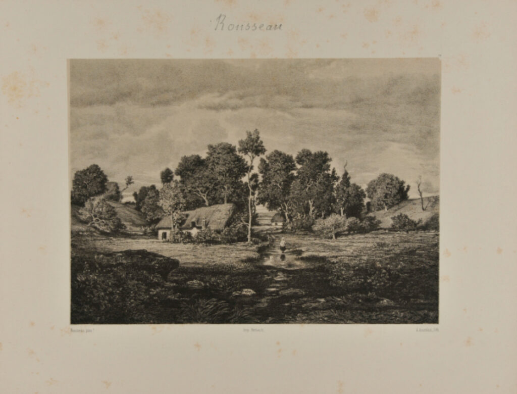 Paysage dans les Landes