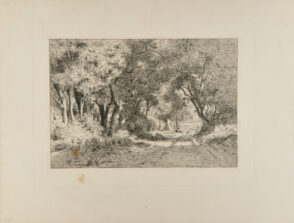 Dessous de bois, Noisy