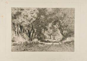 Dessous de bois, Noisy