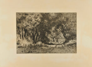 Dessous de bois, Noisy