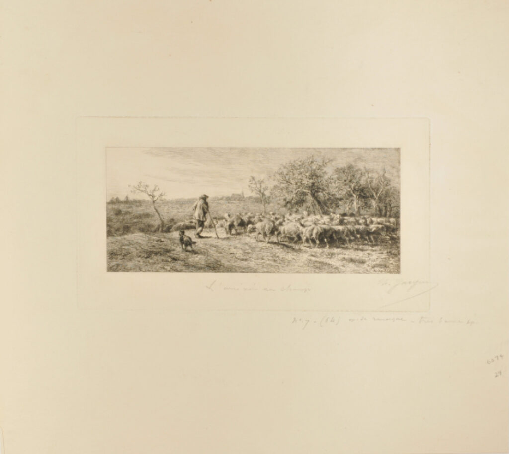 L’Arrivée au champ