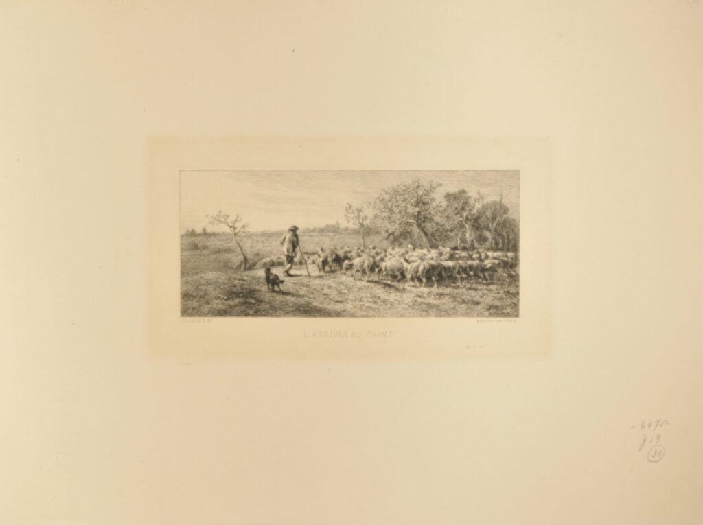 L’Arrivée au champ