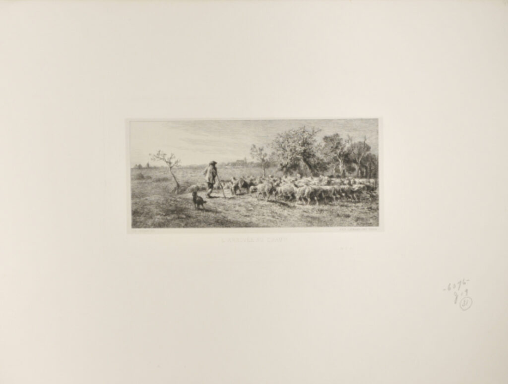 L’Arrivée au champ