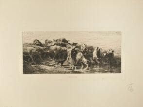Herd of Cows and Bulls