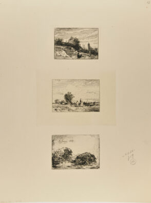 Le Buisson: Paysage; Paysage; Porcs couchés