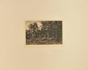 La Petite forêt: Hiver