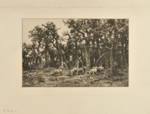 La Petite forêt: Hiver