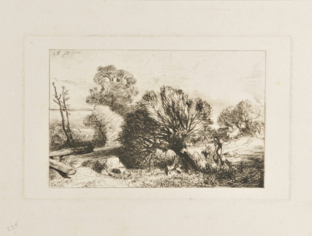 Paysage: Saules