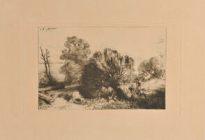 Paysage: Saules
