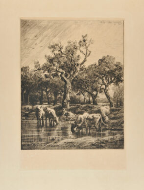 Vaches à l’abreuvoir