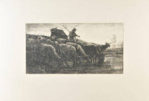 Troupeau de vaches à l’abreuvoir