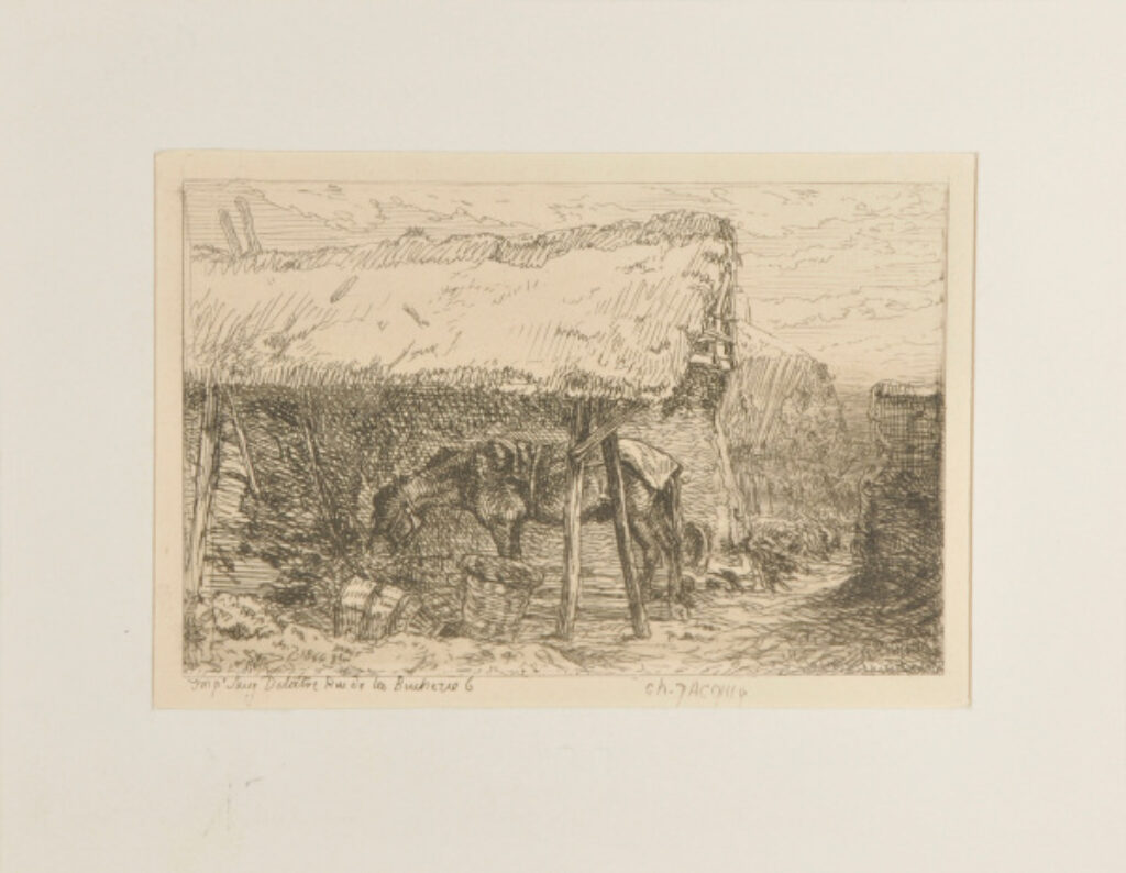 Cheval sous un hangar