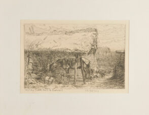 Cheval sous un hangar