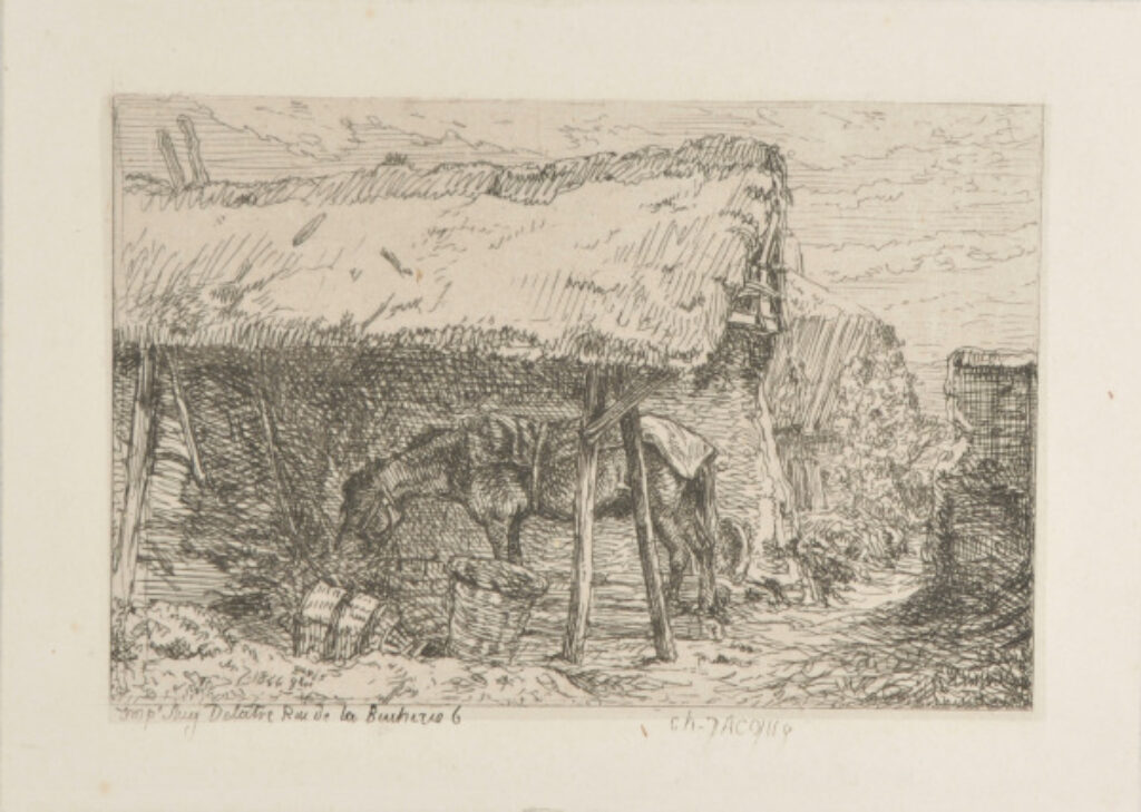 Cheval sous un hangar