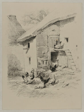 Chicken coop