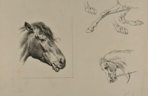 Horse heads and hooves