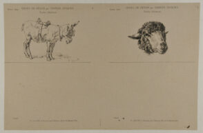 Mule with saddle, sheep’s head