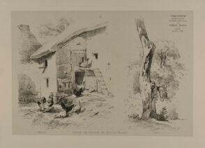 Chicken coop and tree trunk