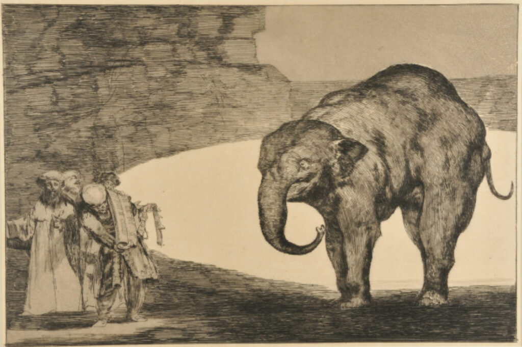 The Elephant – Otras Leyes por el Pueblo