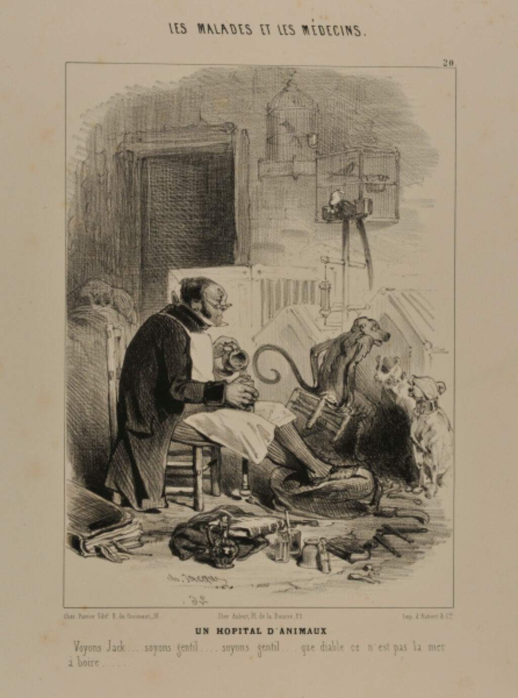 Un Hôpital d’animaux