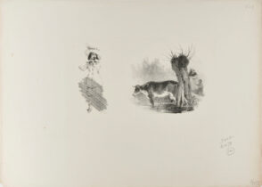 Sheet of sketches: man in plumed hat; cow