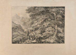 Guérillas Navarrois