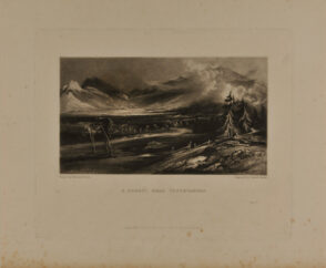 A Forest Near Vossevangen