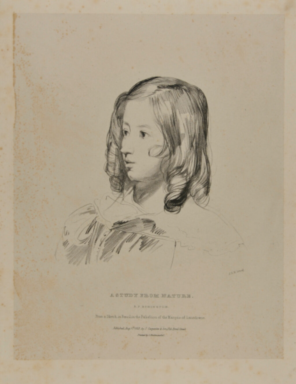 A Study from Nature (Head of a Girl)