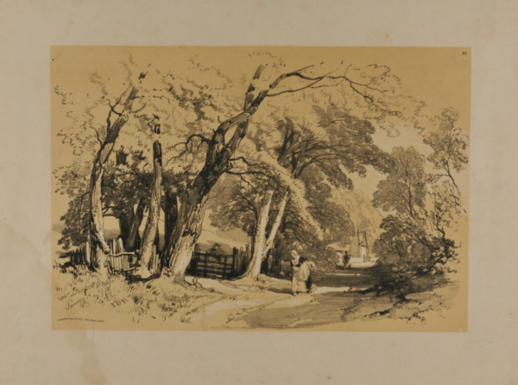 Near Burford Bridge, Surrey