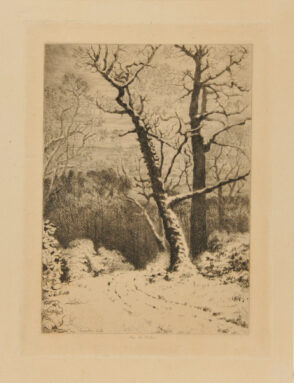Road in the Forest, During Winter